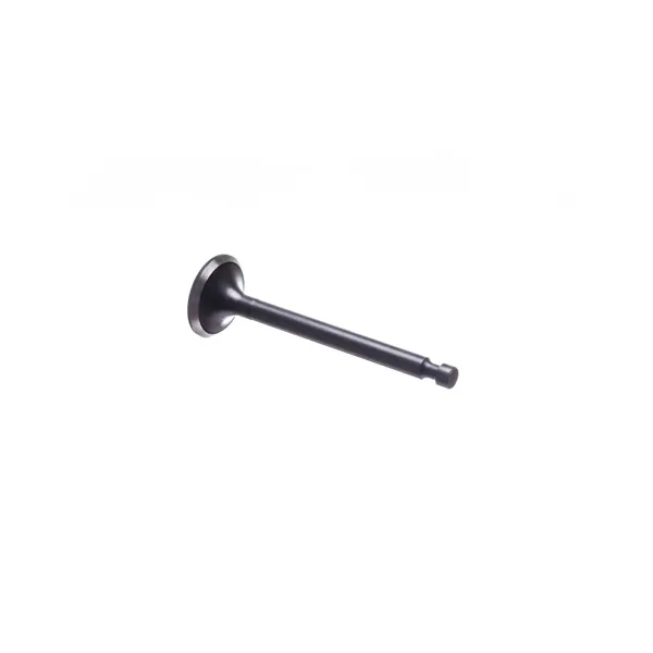 Auslassventil für Honda GX240 GX270 Zongshen Motoren (OEM 177F 14721-ZE2-000 14721ZE2000 100004553)