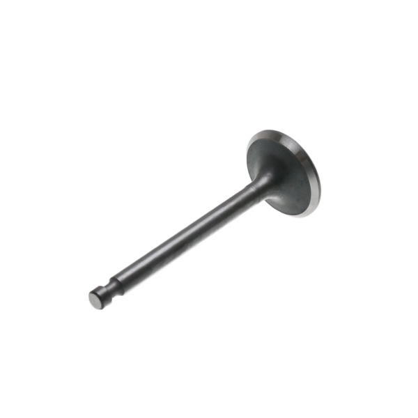 Auslassventil für Zongshen XP420 Motoren (OEM 100004556)
