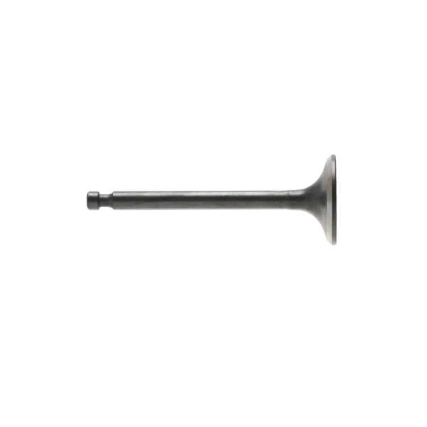 Auslassventil für Zongshen XP420 Motoren (OEM 100004556)