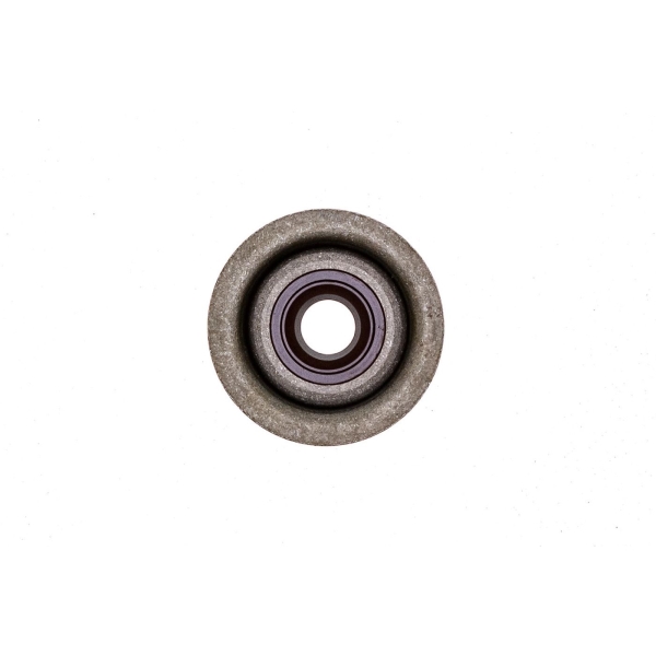 Einlassventildichtung für Honda GX120 GX160 GX200 Zongshen 168FB (OEM 12209-ZH8-003 12209ZH8003)