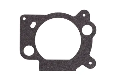 Everest Luftfilterdichtung für Briggs & Stratton Motoren (OEM 273364 691894)