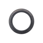 Komplette Nockenwelle für Briggs & Stratton-Motoren (OEM 494433 692421)