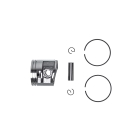 Kompletter Kolben für Kettensägen Stihl MS261 MS261C 44,7 mm (OEM 11410302031)