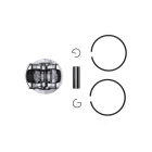 Kompletter Kolben für Kettensägen Stihl MS661 MS661C 56mm (OEM 11440302001)