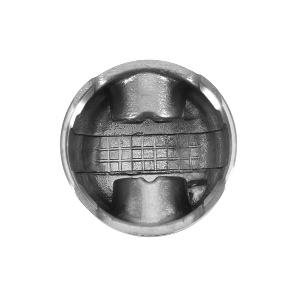 Kompletter Zylinder mit Kolben für Kettensägen OLEO-MAC Oleomac 746T 446BP Efco 8460 8465 42 mm (OEM 61122014F)