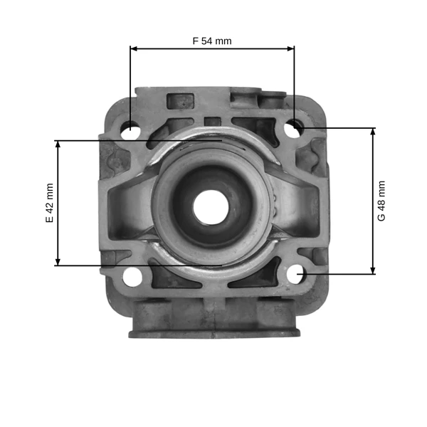 Kompletter Zylinder mit Kolben für Kettensägen OLEO-MAC Oleomac 746T 446BP Efco 8460 8465 42 mm (OEM 61122014F)