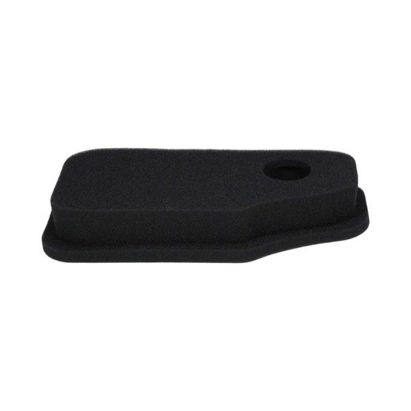 Luftfilter 242 mm x 115 mm x 38 mm für Briggs & Stratton Motoren Leistung 10,0 PS - 11,0 PS (OEM 270843 270843S 30099R 7347)