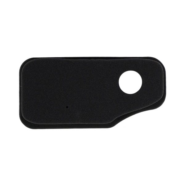 Luftfilter 242 mm x 115 mm x 38 mm für Briggs & Stratton Motoren Leistung 10,0 PS - 11,0 PS (OEM 270843 270843S 30099R 7347)