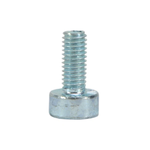 Stihl Schraube IS-M5 x 12 (OEM 90223410960)