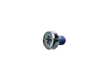 Stihl Schraube IS-M5 x 6 (OEM 90223410910)