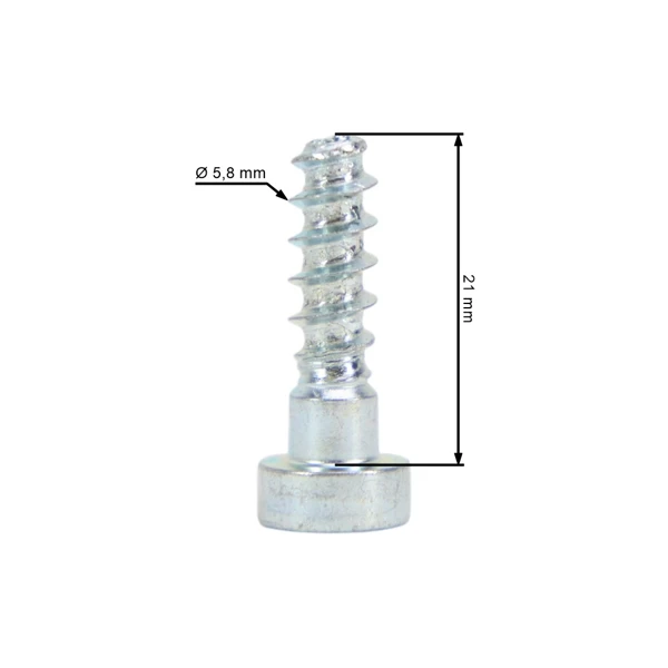 Stihl Schraube IS-P6 x 21,5 (OEM 90744784475)