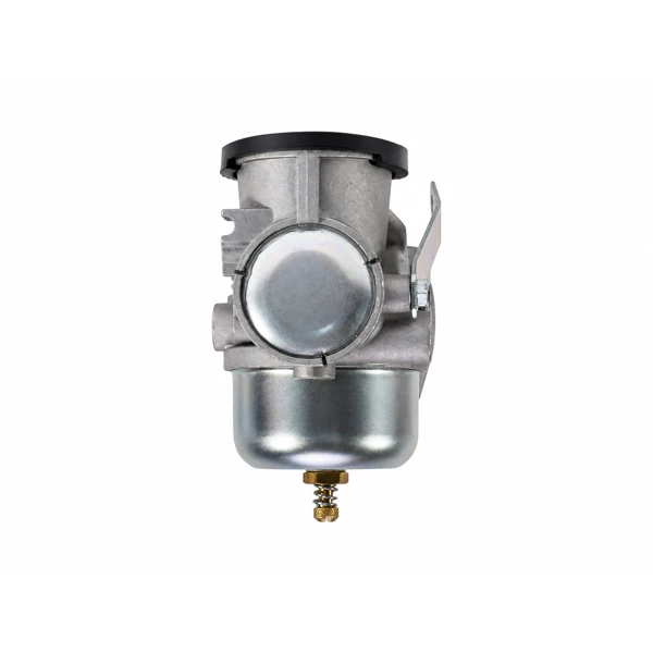 Vergaser für Briggs & Stratton-Motoren (OEM 491031 490499 491026 281707)