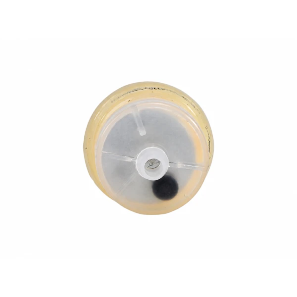 Vergaser für Briggs & Stratton-Motoren (OEM 491031 490499 491026 281707)
