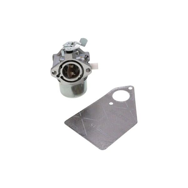 Vergaser für Briggs & Stratton Motoren (OEM 494883 495778 497581 495782)