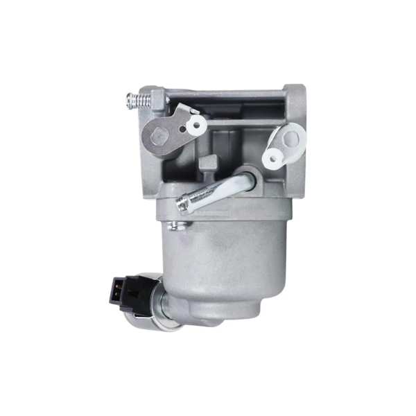 Vergaser für Briggs & Stratton-Motoren (OEM 591678 589669822)