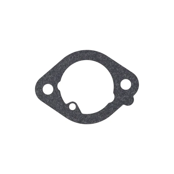 Vergaser für Briggs & Stratton-Motoren (OEM 591678 589669822)