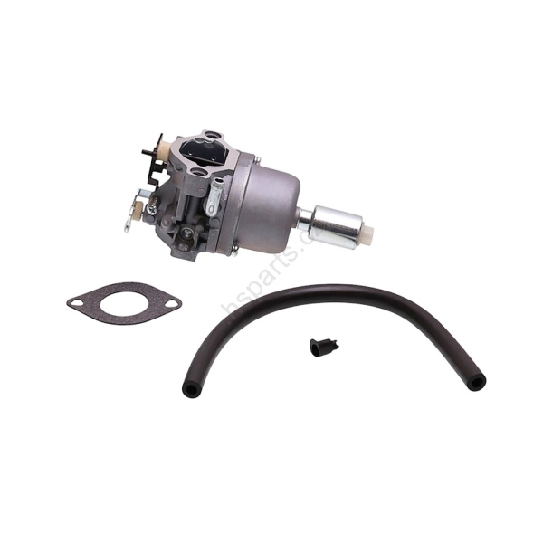 Vergaser für Briggs & Stratton Motoren (OEM 591731 796109 594593 590400 796078 498811 794161 795477 4u8 - 31H777 - 796109)