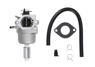 Vergaser für Briggs & Stratton-Motoren (OEM 796587 591736 594601)