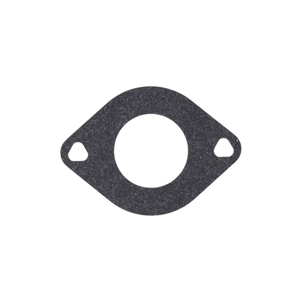 Vergaser für Briggs & Stratton-Motoren (OEM 796587 591736 594601)
