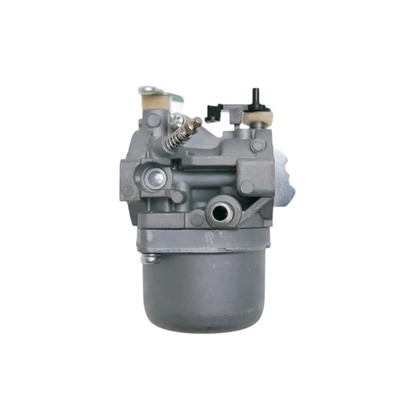 Vergaser für Briggs & Stratton Motoren (OEM 799728 498027 495706 494502 494392 498134 499161 496592 498231 286702 286707)