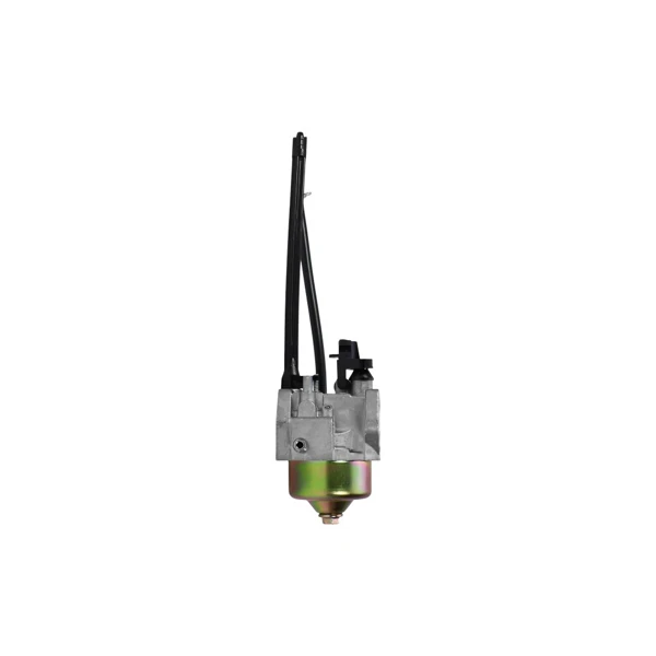 Vergaser für Briggs & Stratton Motoren (OEM 799802)