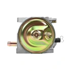 Vergaser für Briggs & Stratton Motoren (OEM 799802)
