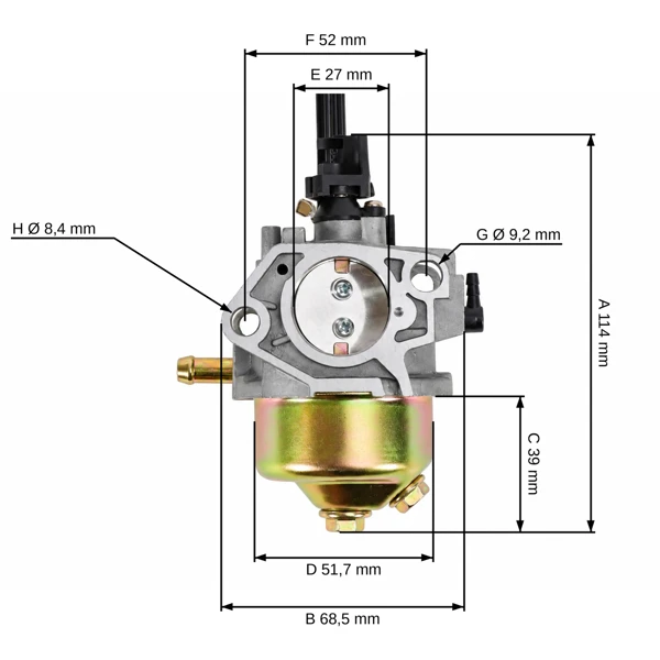 Vergaser für Briggs & Stratton Motoren (OEM 799802)