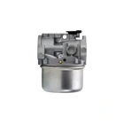 Vergaser für Briggs & Stratton Motoren (OEM 799868 14111 497586 498170 498254 497314 497347 694202 693909 692648 799872 790821 498255)