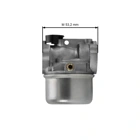 Vergaser für Briggs & Stratton Motoren (OEM 799868 14111 497586 498170 498254 497314 497347 694202 693909 692648 799872 790821 498255)
