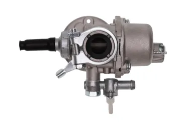 Vergaser für Motorspritzen 3WF-3 3WF-2.6 3WF-3S Agrimotor