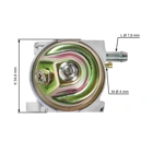 Vergaser für Zongshen NP100 Motoren (OEM 100052967)