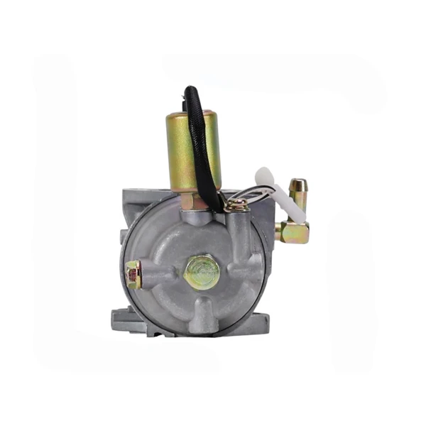 Vergaser für Zongshen XP380A Motoren (OEM 100126493)