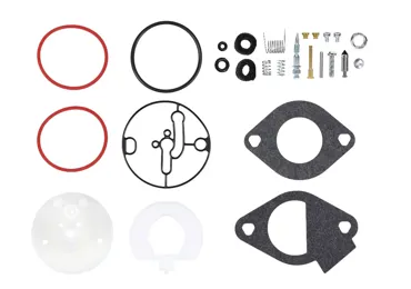 Vergaser Reparatursatz für Briggs & Stratton Motoren (OEM 796184 698787 699900 699521 792369 790032)