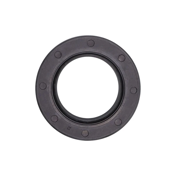 Wellendichtringe für Briggs & Stratton Motoren 5,0 PS - 6,0 PS 399781S (OEM 399781)