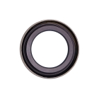 Wellendichtringe für Briggs & Stratton Sprint Classic Quantum Motoren 3,0 PS - 4,0 PS (OEM 391483 291841 391483S)