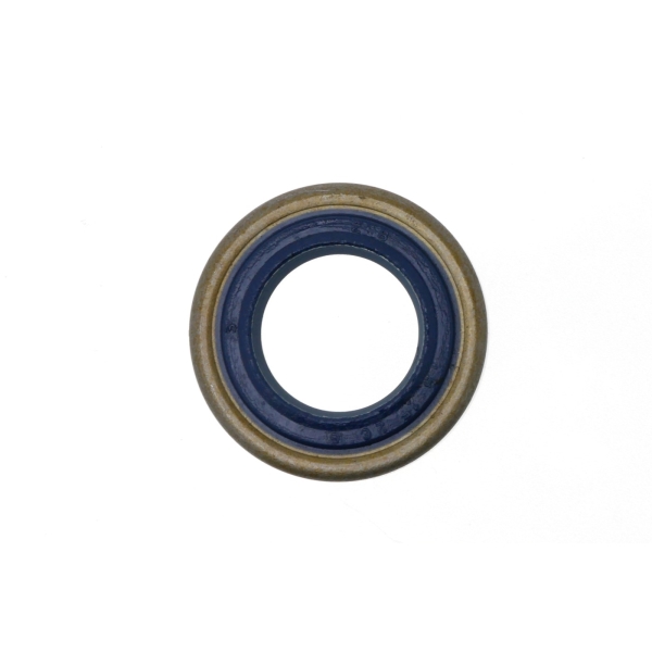 Wellendichtringe für Husqvarna 61 66 262 266 268 272 K750 250R 343R 345R 355RX 555RXT Kettensägen und Freischneider (OEM 503260204)