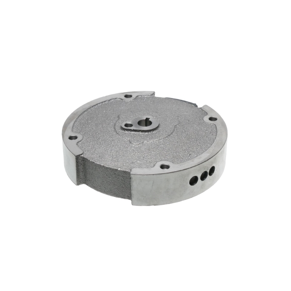 Zündmagnet für Zongshen XP200A Motoren (OEM 100053861)