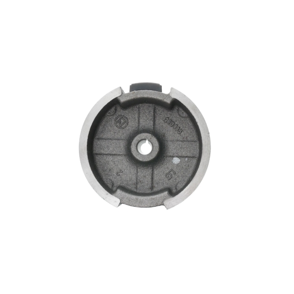 Zündmagnet für Zongshen XP200A Motoren (OEM 100053861)