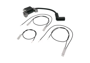 Zündung für Briggs & Stratton Serie 450E 500E 550E Originalteil (OEM 593872 799582)