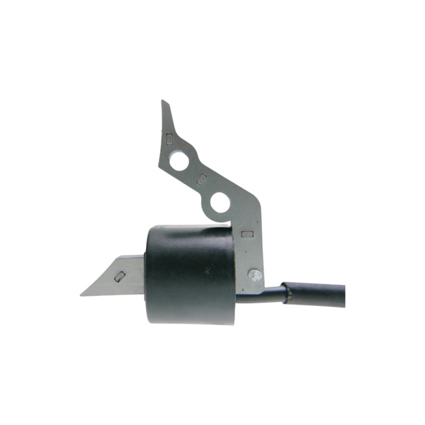 Zündung für Hecht Chinesische Rasenmäher und Hobbymäher